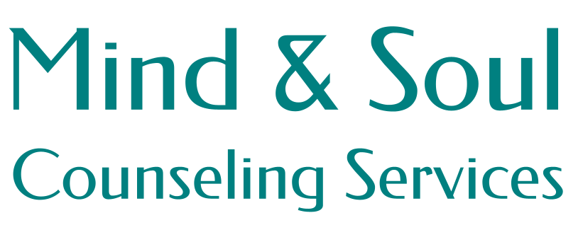Mind and Soul Counseling Services